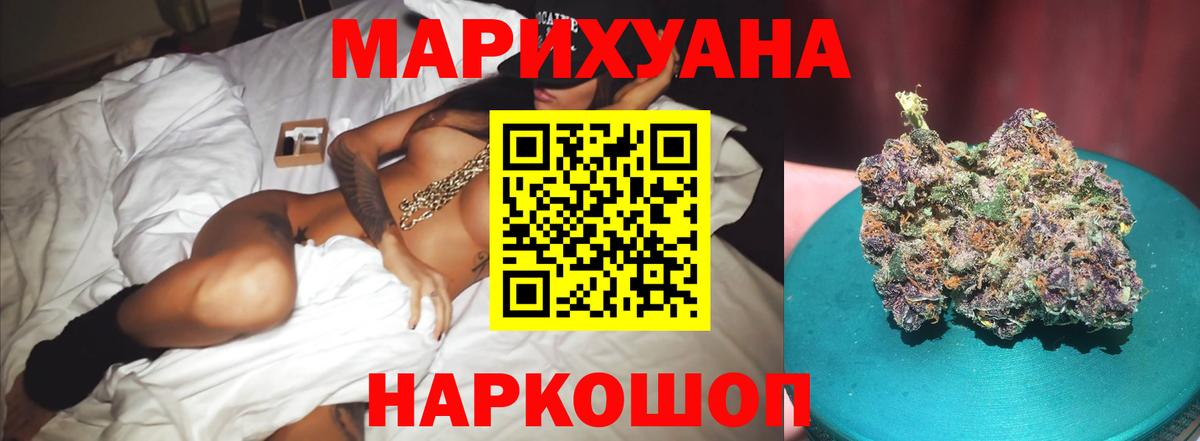 Конопля сатива Краснокаменск